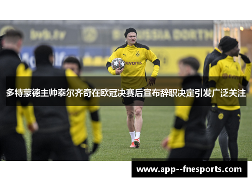 多特蒙德主帅泰尔齐奇在欧冠决赛后宣布辞职决定引发广泛关注