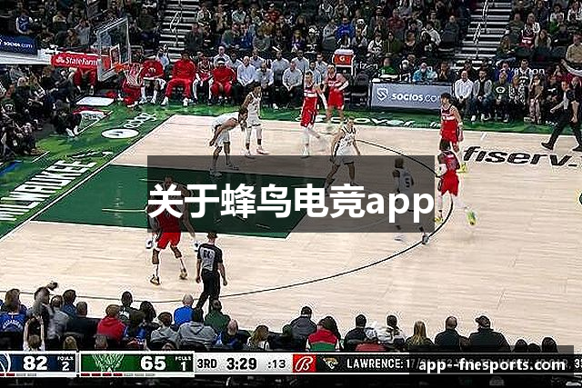 关于蜂鸟电竞app